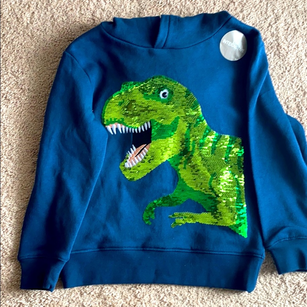 H&M Dinosaur Hoodie